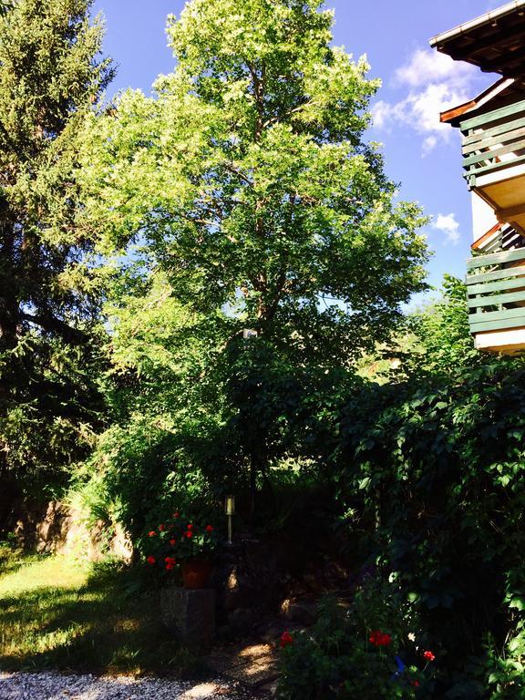 Hotel Du Verdon Beauvezer Εξωτερικό φωτογραφία